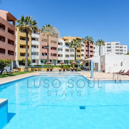 New! Perfect With Swimming Pool Apartment *